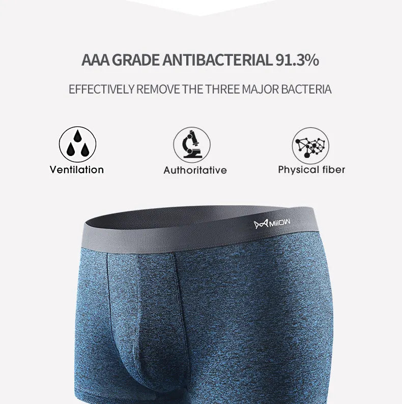 MiiOW coton boxers x4