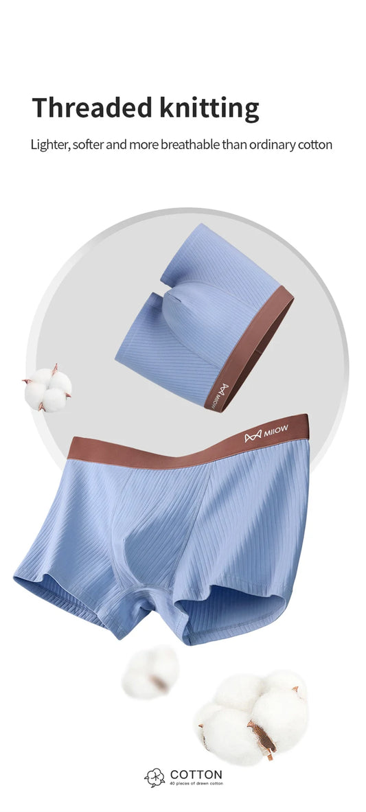 MiiOW  coton boxer x3